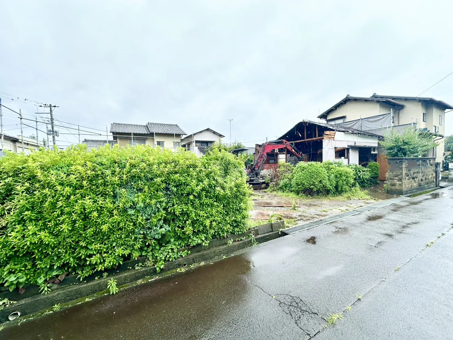 現地写真(6/28)