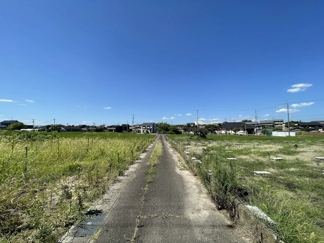 更地