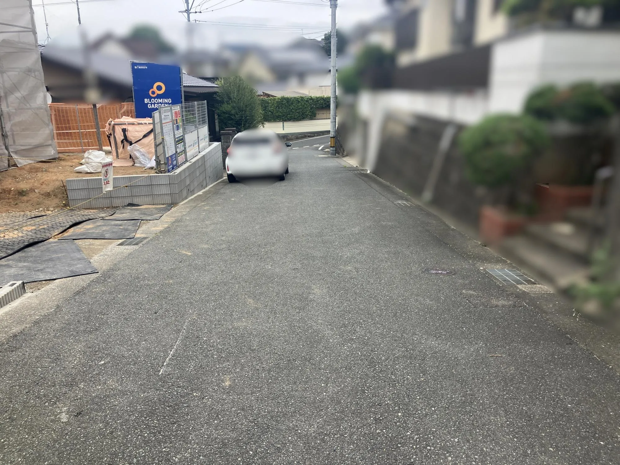 現地写真