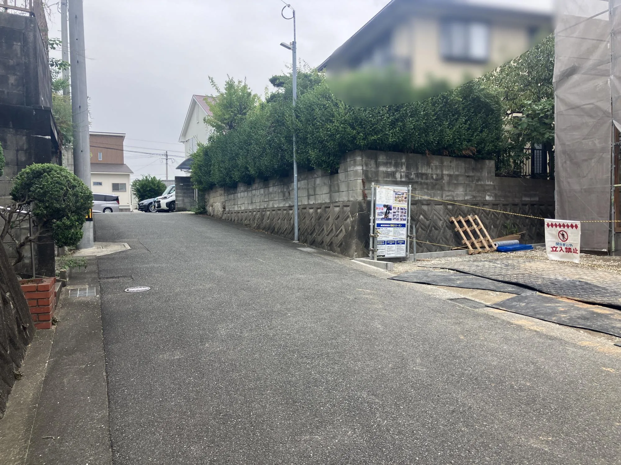 現地写真