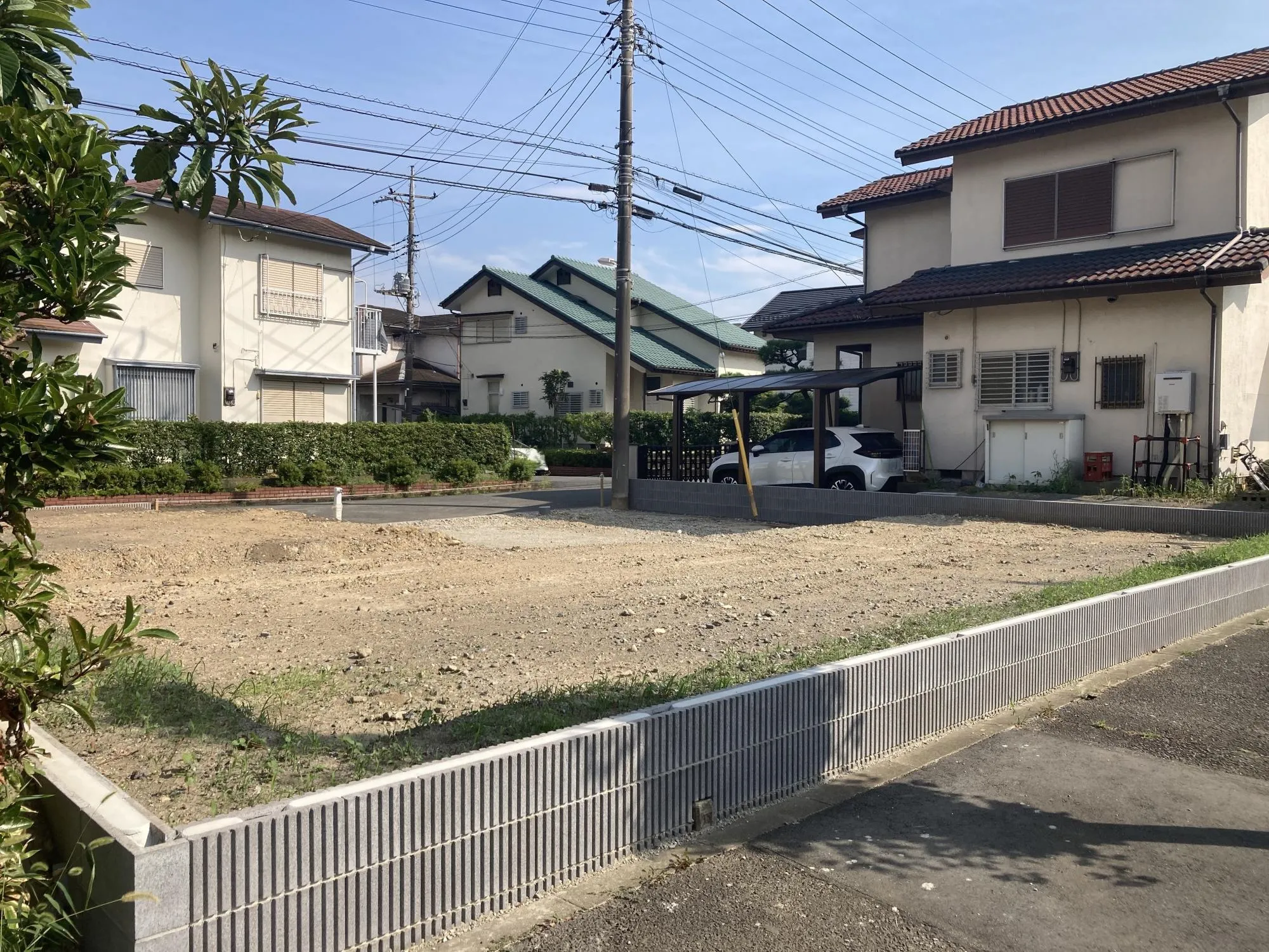 現地写真　8月撮影