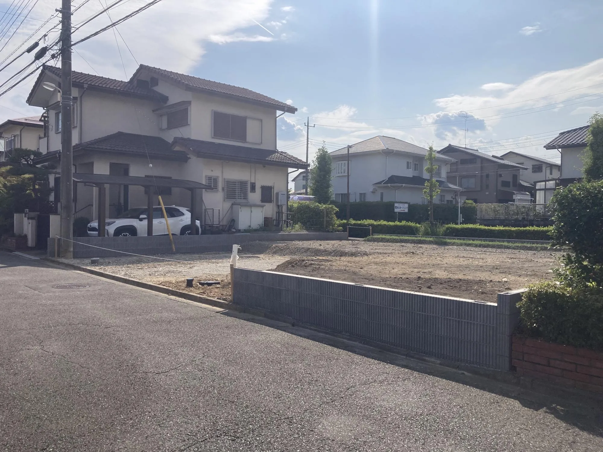 現地写真　8月撮影
