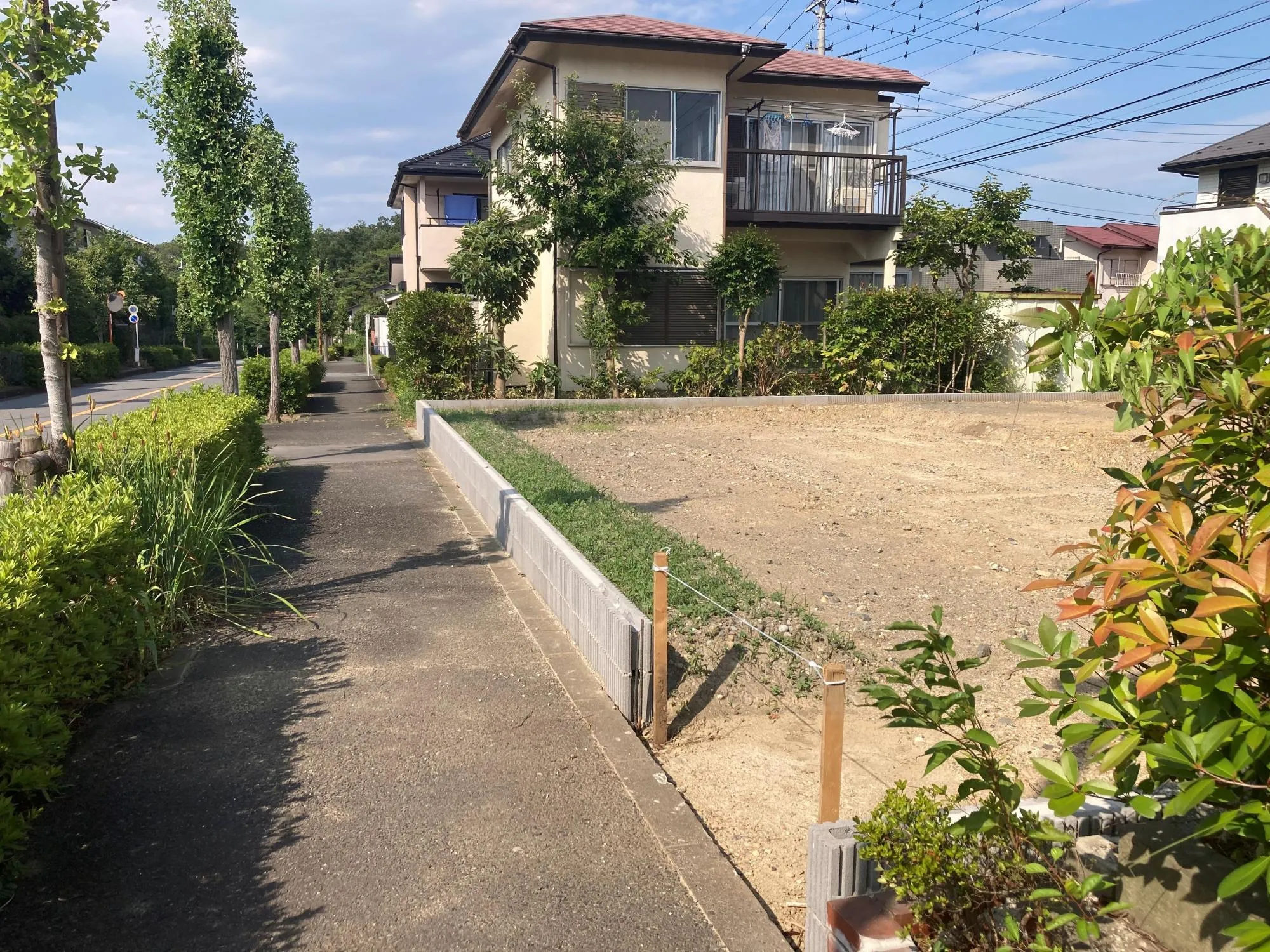現地写真　8月撮影