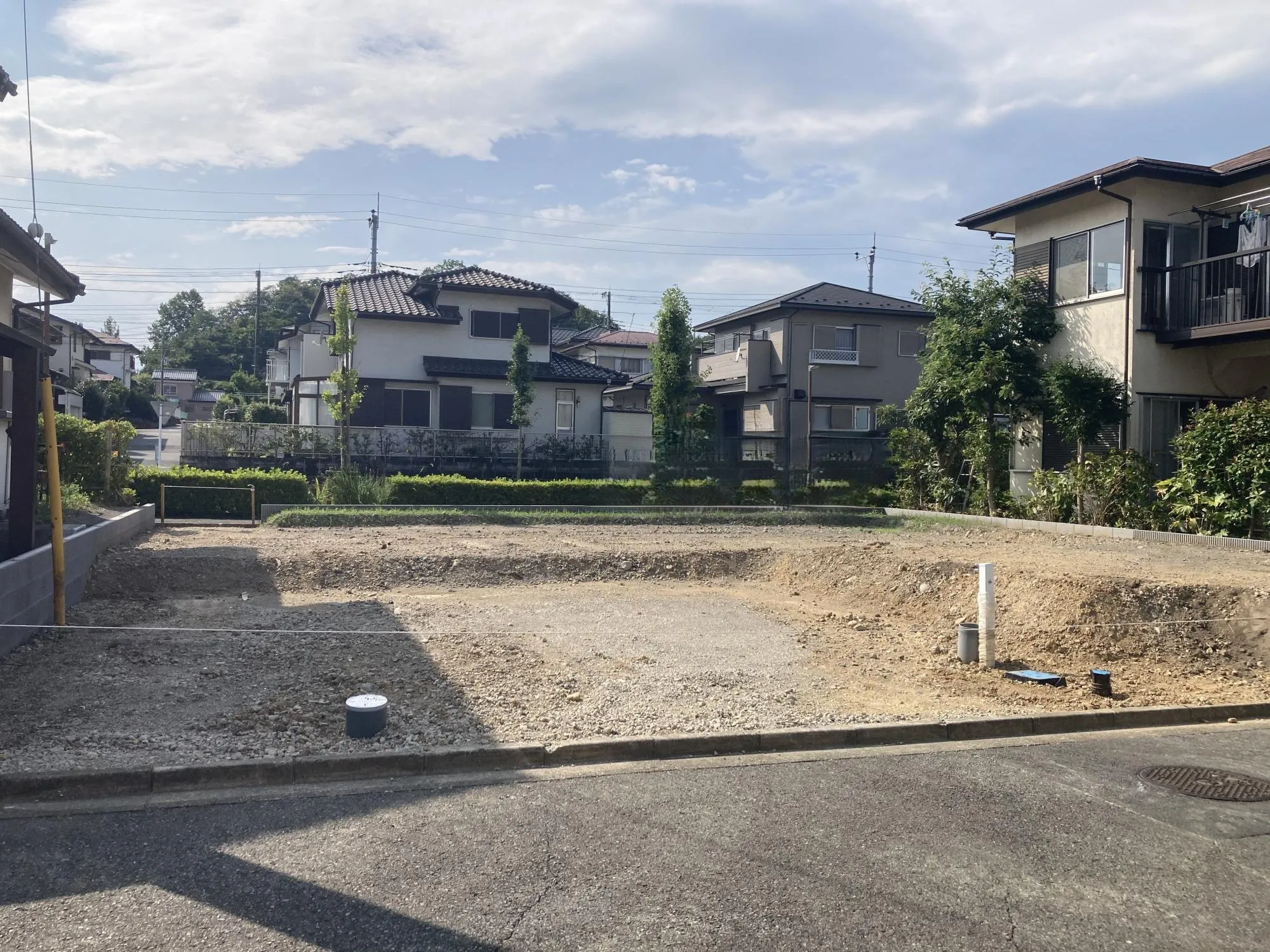現地写真　8月撮影