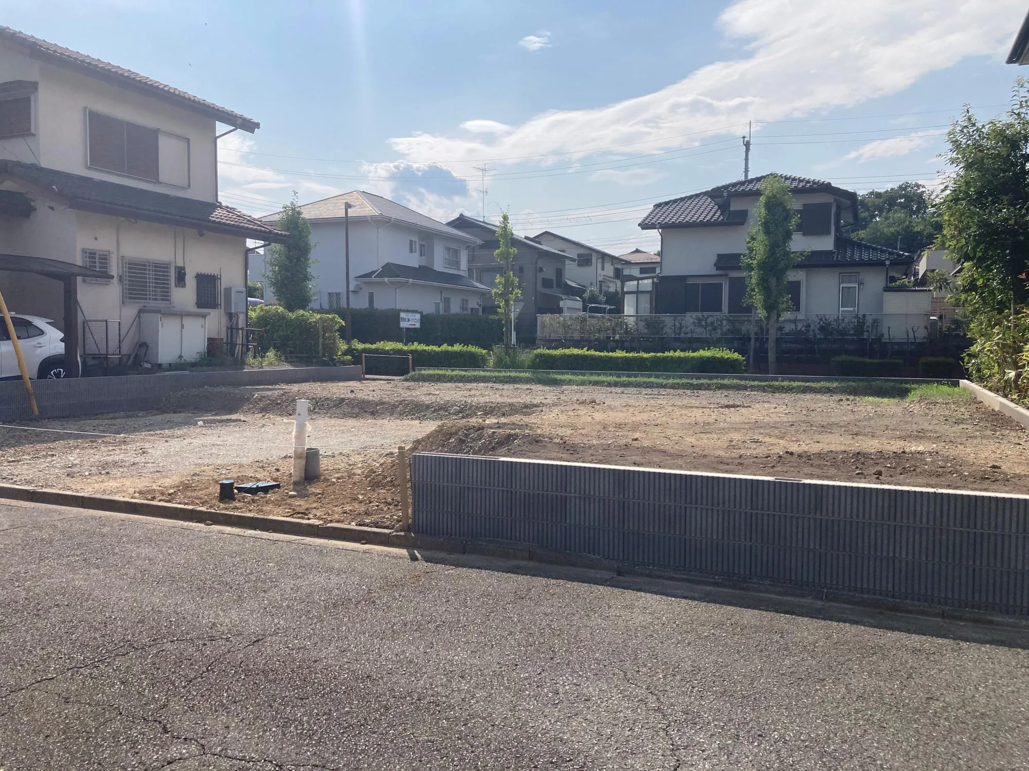 現地写真　8月撮影