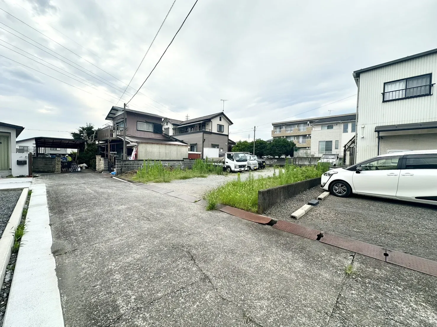 現地写真