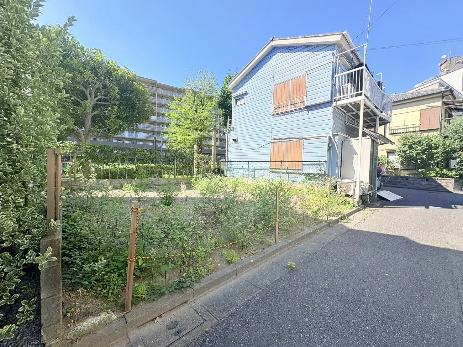 販売現地