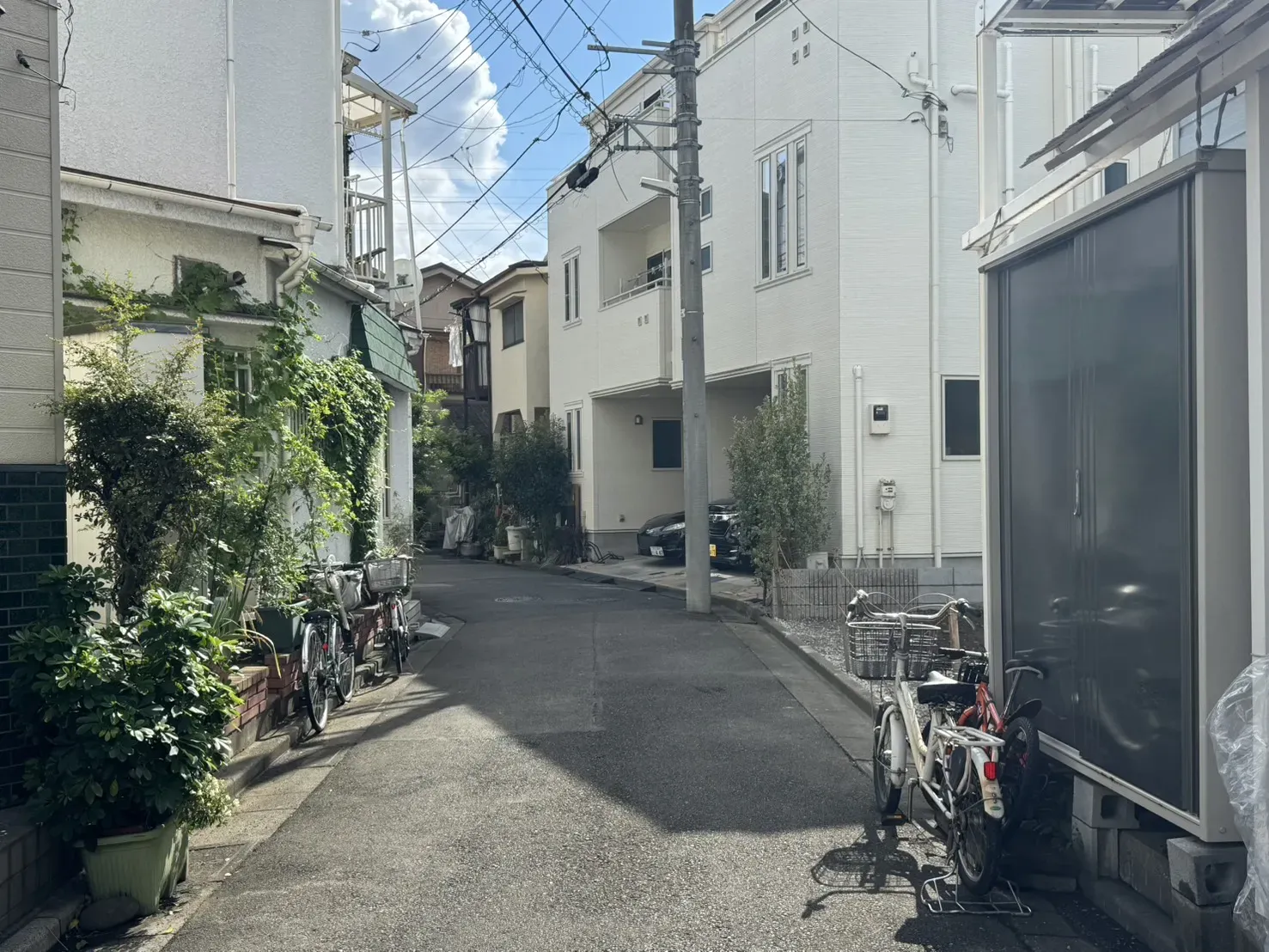 販売現地