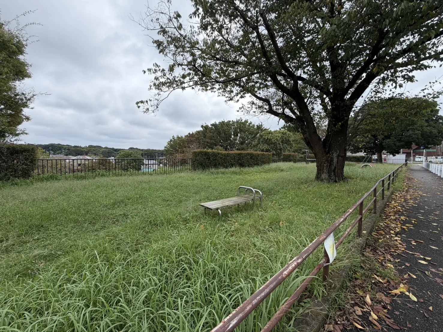 千葉市桜公園