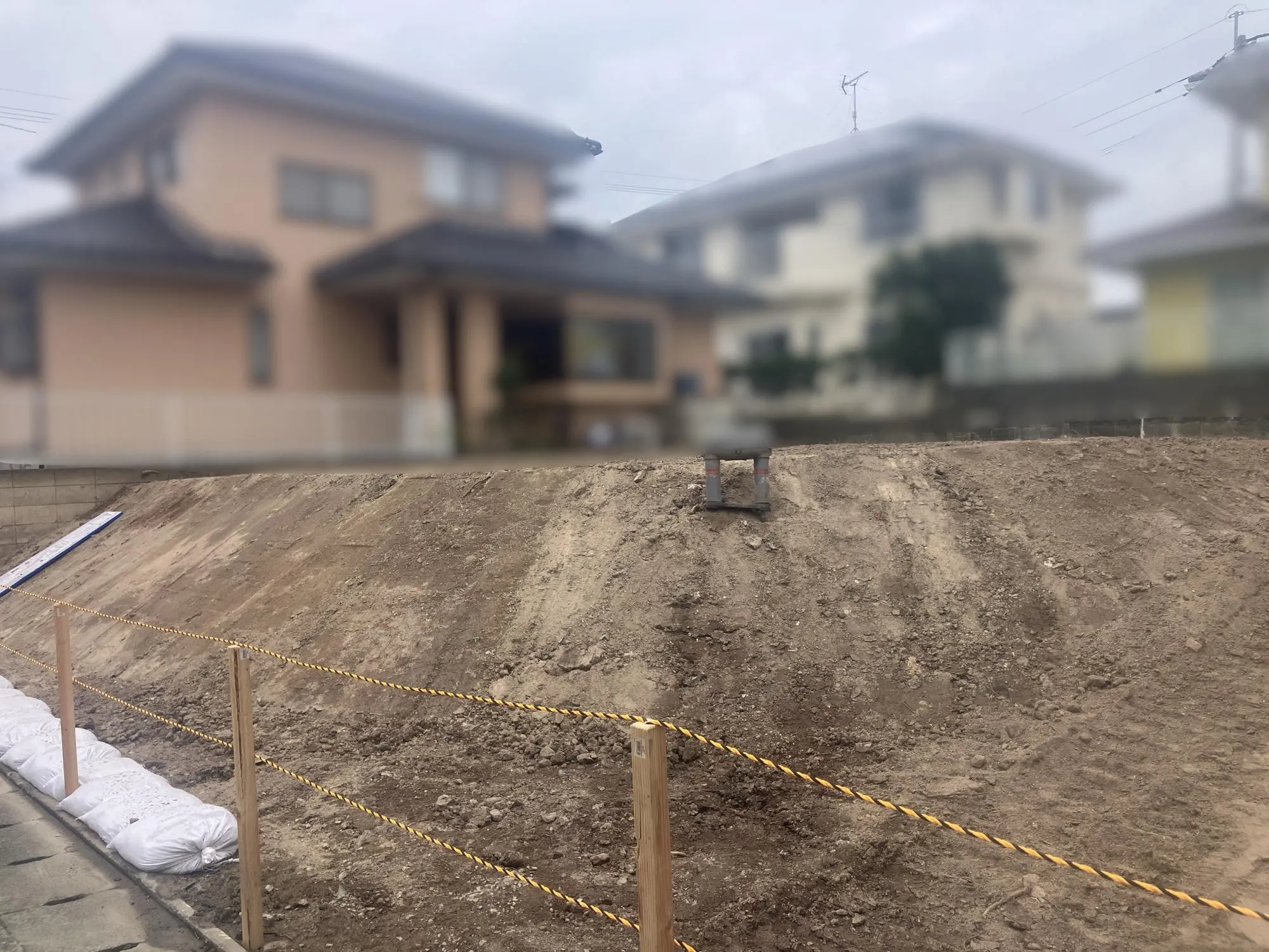 現地写真