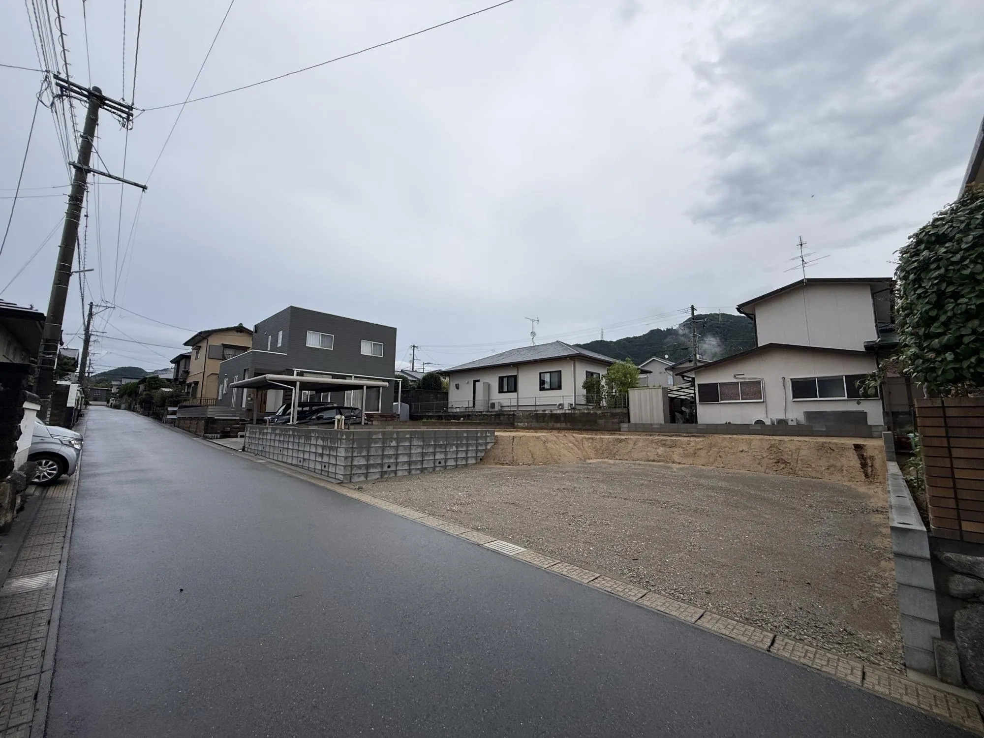 2026年9月 撮影