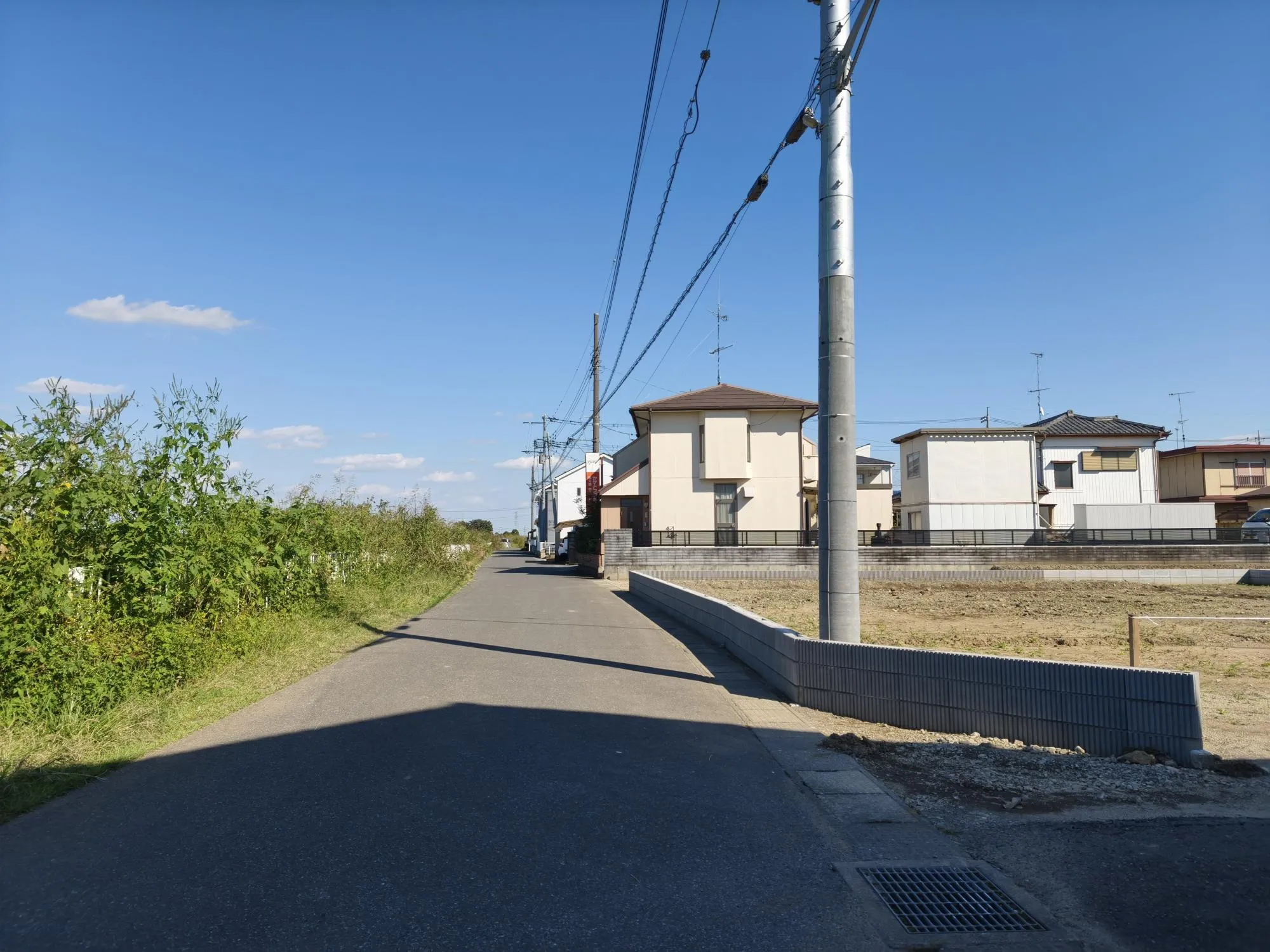 現地写真　10月撮影