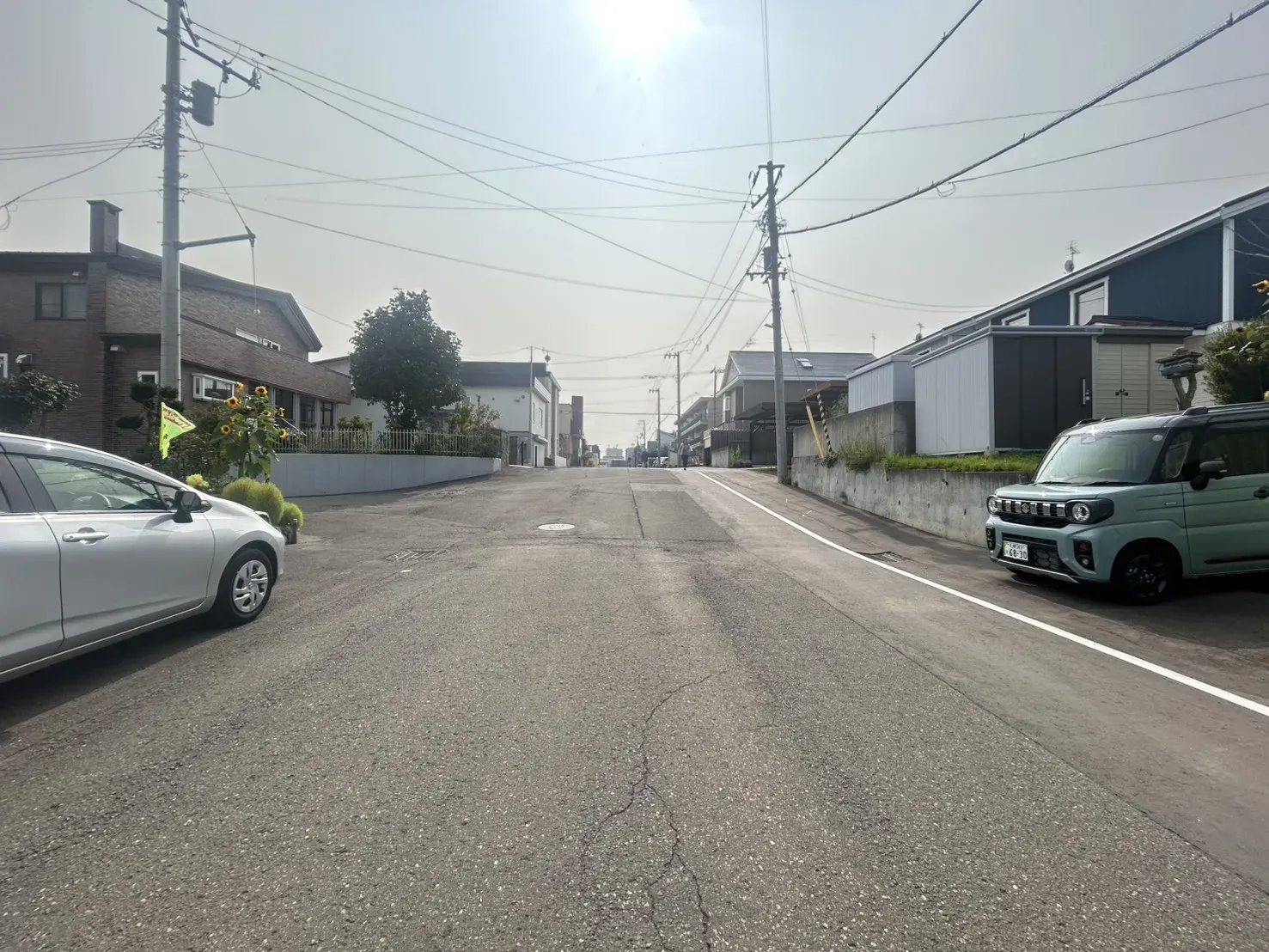 前面道路(約11m)